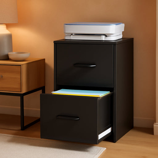 2 Drawer File Cabinet with Lock, Vertical Filing Cabinet for Home Office, Heavy Duty Storage Cabinet for Letter Size, Assembly Required(Black)