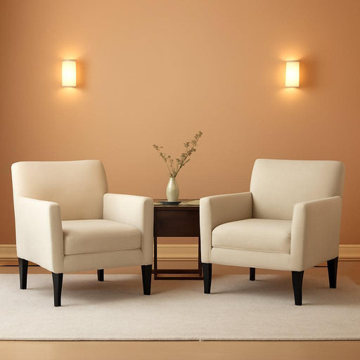 Accent Chair Set of 2 for Living Room, Modern Upholstered Fabric Accent Armchair with Back, Soft Single Sofa Chair with Arms for Bedroom/Office/Reception Room, Oatmeal