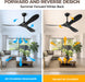 Black Outdoor Ceiling Fan Featuring Remote Control