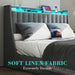 Queen Bed Frame with 2 Storage Drawers, Platform Bed Frame Queen Size with LED Light, Upholstered Headboard, Charging Station, Steel Slat Support, No Box Spring Needed, Noise-Free, Easy Assembly, Gray