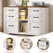 Farmhouse Lateral File Cabinet with 6 Drawers, Rustic White