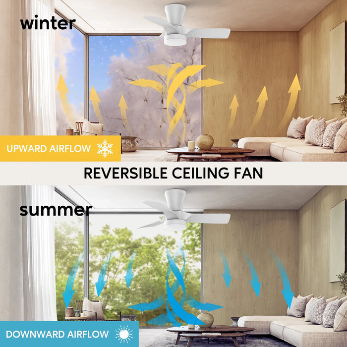 Ceiling Fans with Lights and Remote, 30 Inch Low Profile Ceiling Fan with Light, Modern Flush Mount Ceiling Fan for Bedroom/Kitchen/Dining Room/Patio, 6 Wind Speeds, Dimmable, White