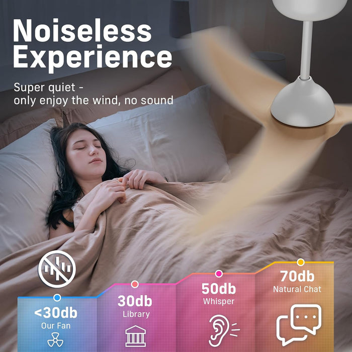 Contemporary 42 Inch Brushless Ceiling Fan Control