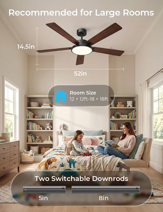 Cinoton 52 Inch Black Smart Ceiling Fan Wireless