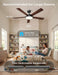 Cinoton 52 Inch Black Smart Ceiling Fan Wireless