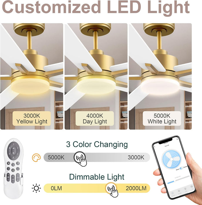 Smart 52 Ceiling Fan DC Motor Advanced Lighting