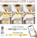 Smart 52 Ceiling Fan DC Motor Advanced Lighting