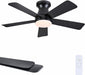 41" Black Low Profile Ceiling Fans with Lights and Remote, Modern Flush Mount Ceiling Fan Light with Quiet Reversible DC Motor for Bedroom Kitchen