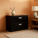 2-Drawer Filing Cabinet - 600 Series Lateral or Legal File Cabinet, 42W by 19-1/4D, Black (H692)