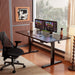 Height Adjustable Electric Standing Desk, 63 X 28 Inches Sit Stand up Desk, Memory Computer Home Office Desk, Black