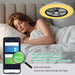 Low Profile Ceiling Fan with Light, Enclosed Bladeless Ceiling Light, Bluetooth Speaker, 6 Speeds Reversible, Stepless Dimming, Smart Flush Mount Ceiling Fan for Bedroom, Kids Room and Living Room 22"
