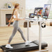 Electric Standing Desk, 45 X 24 Inches Sit Stand up Desk, Sit Stand Height Adjustable Home Office Desk with 4 Height Position Memory (White, 45)