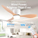 Modern Ceiling Fan with LED Light DC Motor Large Air Volume Remote Control for Kitchen Bedroom Dining Room Patio