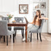 Velvet Dining Chairs Set of 4,Upholstered Dining Chairs with Ring Pull Trim and Button Back,Modern Seating for Kitchen, Bedroom & Living Room(Grey)