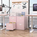 2 Drawer File Cabinet with Lock,Pink Metal Filing Cabinets,Vertical Locking File Cabinet Fit Hanging Files, Letter,File Box and A4 Documents(Pink)