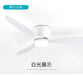 Modern Led Ceiling Fan without Lights DC Motor 6 Speeds Timing Fans 20CM Low Floor Loft Remote Control Lux&Vitae Fan with Lights