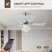 Chandelier Ceiling Fans with Lights and Remote, Nickel 42 In