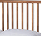 Neilan Modern and Contemporary Walnut Brown Finished Wood Queen Size Platform Bed