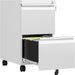 2 Drawer Mobile File Cabinet, Fully Assembled File Cabinets with Lock, Metal Rolling Filing Caninet on Wheels, Small Two Drawer under Desk Cabnet for Letter/Legal / A4 / File Box - White