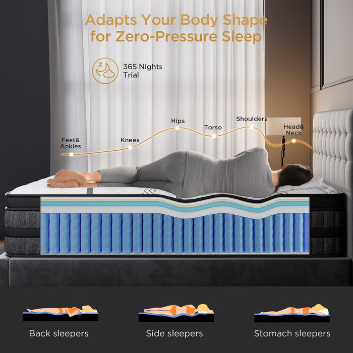 Queen Mattress 14 Inch Hybrid Mattress Euro Top Medium Firm for Back & Lumbar Support [New Version], 365 Night Trial, Individual Pocket Spring for Motion Isolation & Pressure Relief