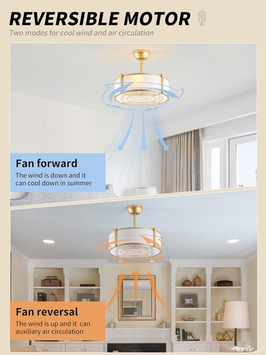 20" Caged Ceiling Fans with Lights, Gold Fandelier Ceiling Fan with Light, Boho Chandelier Fan Remote Control, 6 Speeds for Bedroom, Nursery, Living Room