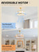 20" Caged Ceiling Fans with Lights, Gold Fandelier Ceiling Fan with Light, Boho Chandelier Fan Remote Control, 6 Speeds for Bedroom, Nursery, Living Room