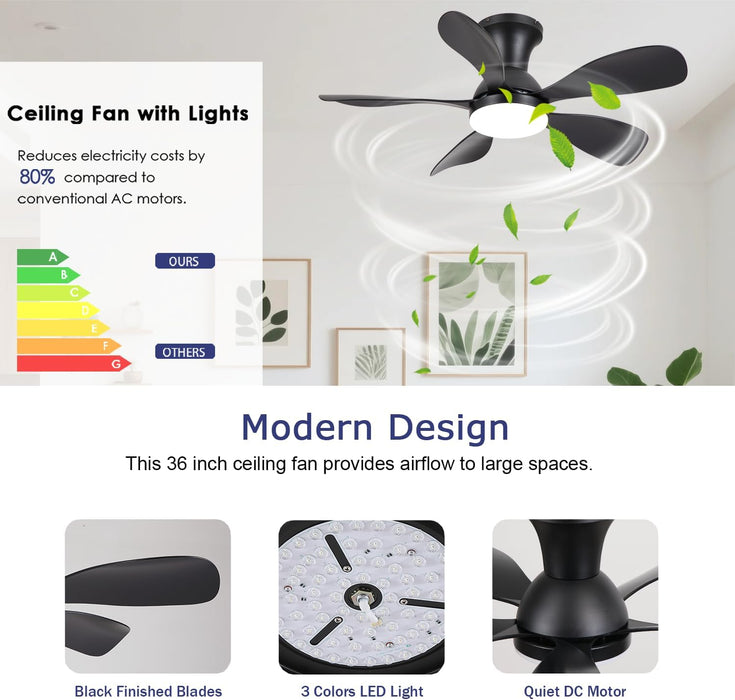 36Inch Black Low Profile Ceiling Fans with Lights and Remote/App Control, Reversible DC Motor, 6 Speeds, Modern Flush Mount Ceiling Fan with 5 Blades for Outdoor Patio,Small Room,Bedroom