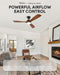 Contemporary Walnut 52 Inch Reversible Ceiling Fan