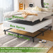 7 Inch Queen Bed Frame for Box Spring and Mattress, Black