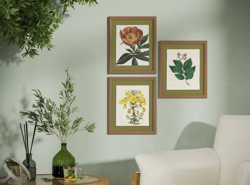 Framed Vintage Florals Elm Tree Leaves-Yellow Flowers-Peony Flower 3-Piece Set by Drew Barrymore 10" X 12"