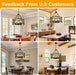 Twenty Inch Chandelier Black Walnut FarmhouseStyle Classic