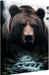 Grizzly Bear Canvas Wall Art, Animal Prints for Cabin, Lodge, or Farmhouse, Brown Bear Wall Decor and Nature-Inspired Pictures, Wildlife Canvas Art for Living Room 24X36