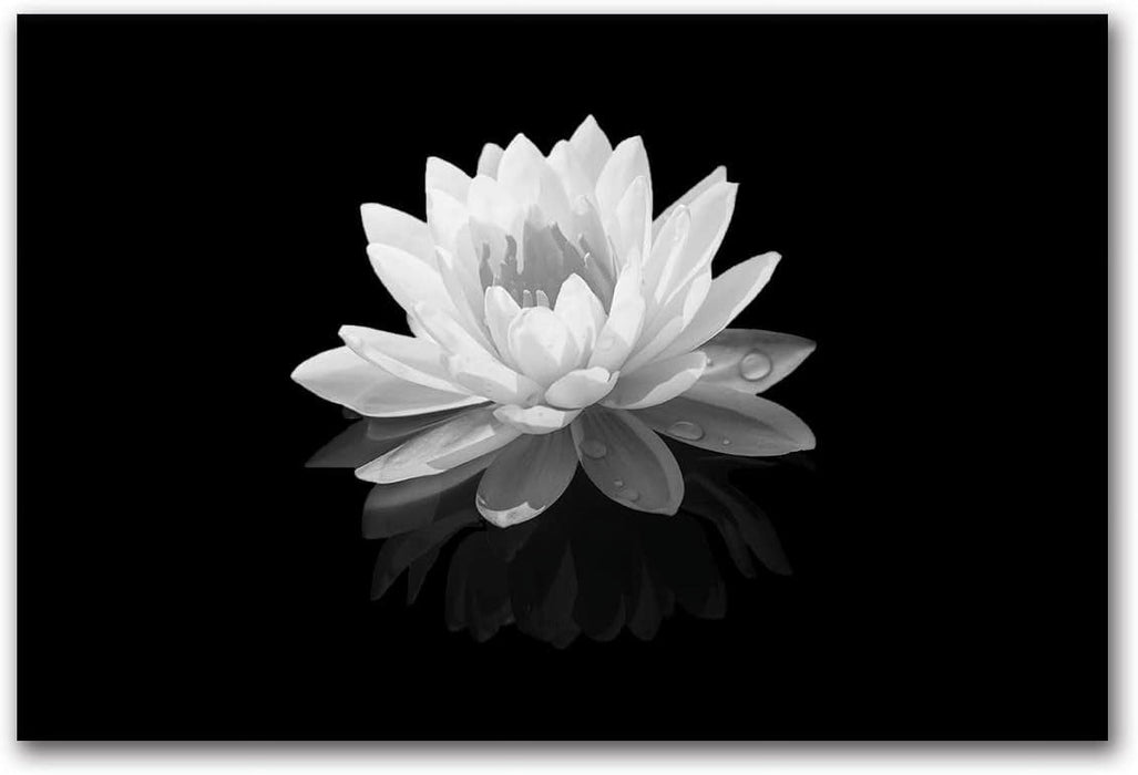 Zen Canvas Wall Art Lotus Flower Canvas Painting Black and White Floral Pictures Modern Meditation Frame Ready to Hang (Black and White Lotus Flower - 3, 8"X10"(20X25Cm))