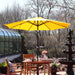 Sunnydaze Outdoor Patio Umbrella with Tilt & Crank, Gold, 9Ft