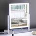 Lighted Makeup Mirror, Hollywood Vanity Mirror with Lights, Three Color Lighting Modes, and 5X Magnification Mirror, Smart Touch Control, 360°Rotation (14.1In,White,Gift Box)