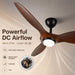 52" Ceiling Fan with Light, Quiet Reversible DC Motor, Smart Control