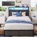 Twin Bed Frame with 2-Tier Storage Headboard, Twin Size Metal Bed Frame with 2 Storage Drawers, 3-In-1 Charging Station & RGB LED, Noise-Free/Metal Support/No Box Spring Needed, Rustic Grey