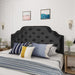 Silas Velvet Headboard, Queen / Full, Black / Black