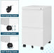 2 Drawer File Cabinet with Lock, Home Office Filing Cabinets on Wheels, under Desk 2 Drawers Storage for Legal/Letter/A4 Files,Fully Assembled