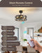 20 Inch Fandelier Caged Ceiling Fans with Lights and Remote