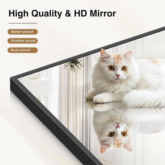 FortyByFortyEightInch Black Elegant Bathroom Mirror