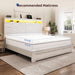 Queen Size Bed Frame with 2 Storage Drawers and Headboard Wooden Platform Bed Frame with LED Lights and Charging Station Easy Assembly/No Box Spring Needed/White