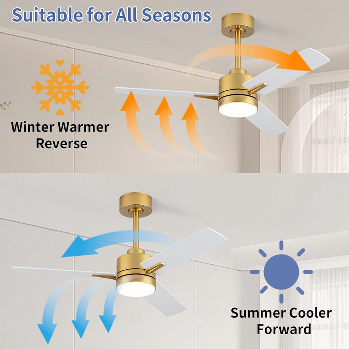 42'' Ceiling Fan with Lights and Remote, Low Profile Modern Ceiling Fan Gold, 6 Speed, Reversible, 3000K-6000K LED, Quiet DC Motor for Indoor Outdoor Bedroom Living Room