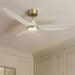 54" Ceiling Fan with Light & Remote Control, Quiet Reversible DC Motor, 6-Speed, 3CCT Dimmable LED, Indoor Ceiling Fans for Bedroom Living Room Dining, by GRANDJOY