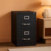 2 Drawers 28.38" Vertical Black Metal Filing Cabinet Lockable Pre-Assembled Stationary Letter Size for Home, Office