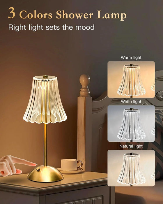 Gold Rechargeable Table Lamp [2 Pack], Cordless Touch LED Bedside Lamp with 3 Color Modes, USB Dimmable