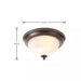 11 In. 2-Light Oil Rubbed Bronze Flush Mount