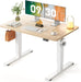 Electric Height Adjustable Standing Desk 48X24 Inch, Light Walnut