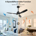 48" Outdoor Ceiling Fans with Lights, Wet Rated Waterproof Indoor Ceiling Fan with Remote, 3 ABS Blades Modern Ceiling Fan, 3CCT, Quiet 6-Speed DC Motor, for Porch Patio Bathroom, Black
