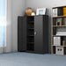 Black Metal Storage Cabinet with Lock & Shelves